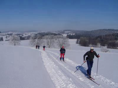 Lyžaři